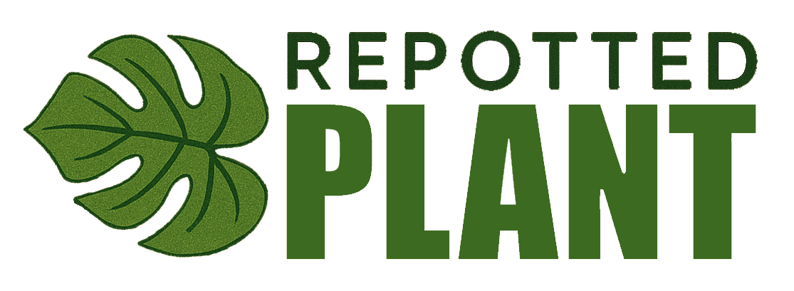 The Repotted Plant