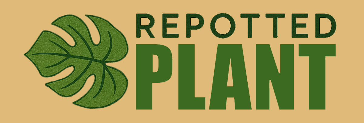 The Repotted Plant